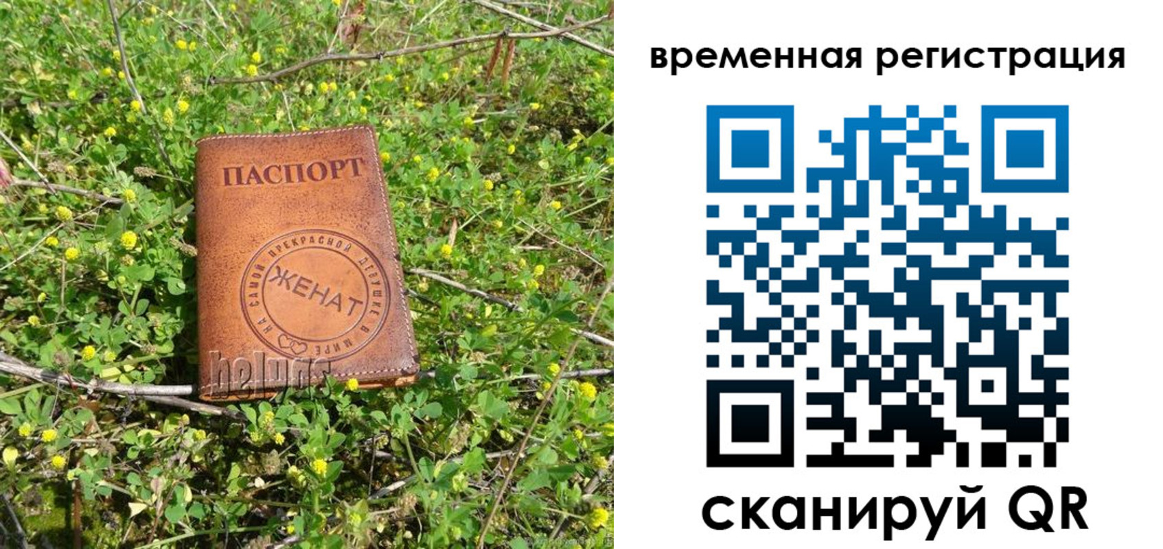 прописка регистрация в Гаджиево